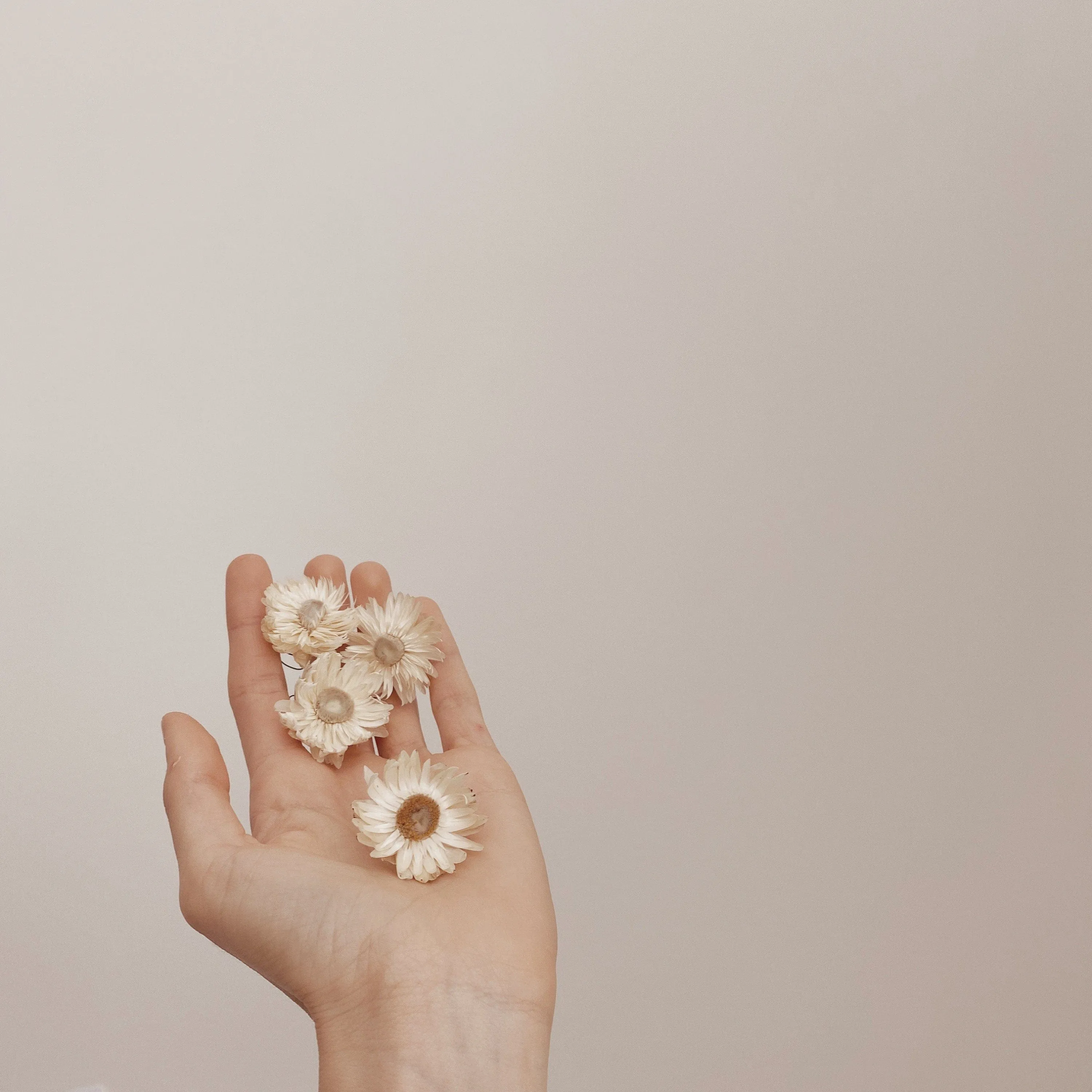 Helichrysum Hair Pins / Boho Bridal Hair Pins / Real Dried Flowers Hair Pin