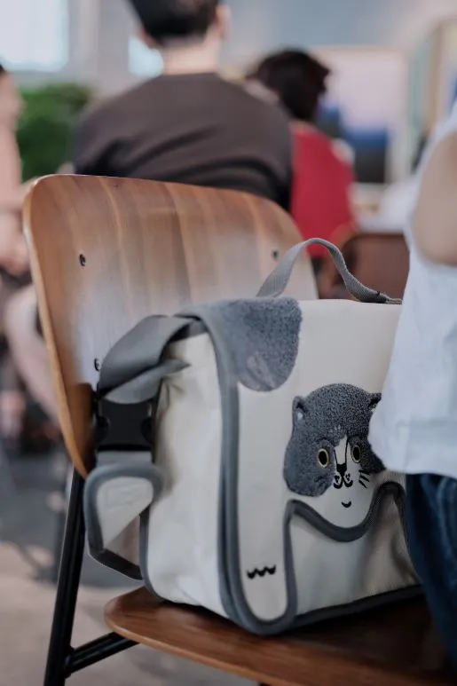 Ruoyu Studio Color-blocked Canvas Crossbody Bag for Casual Commuting