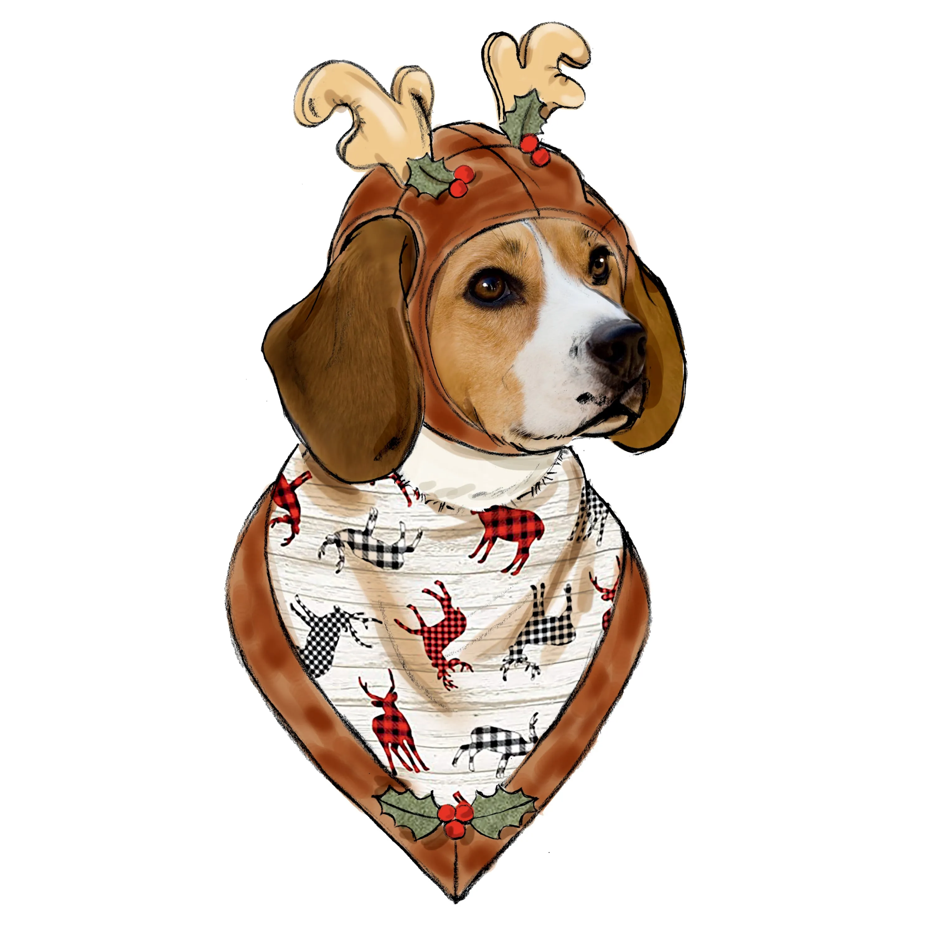 Simplicity Pattern S9497 Pet Accessories