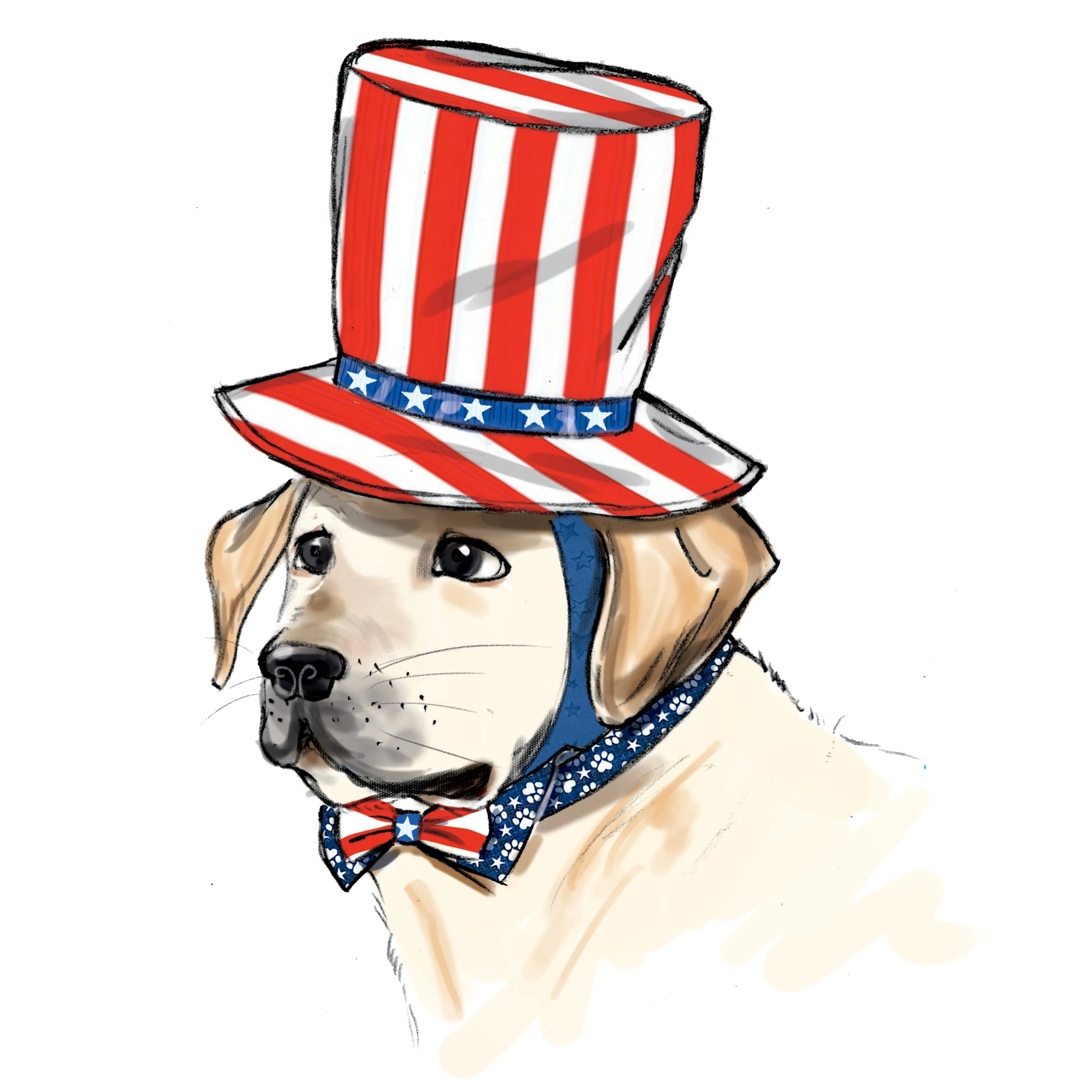 Simplicity Pattern S9497 Pet Accessories