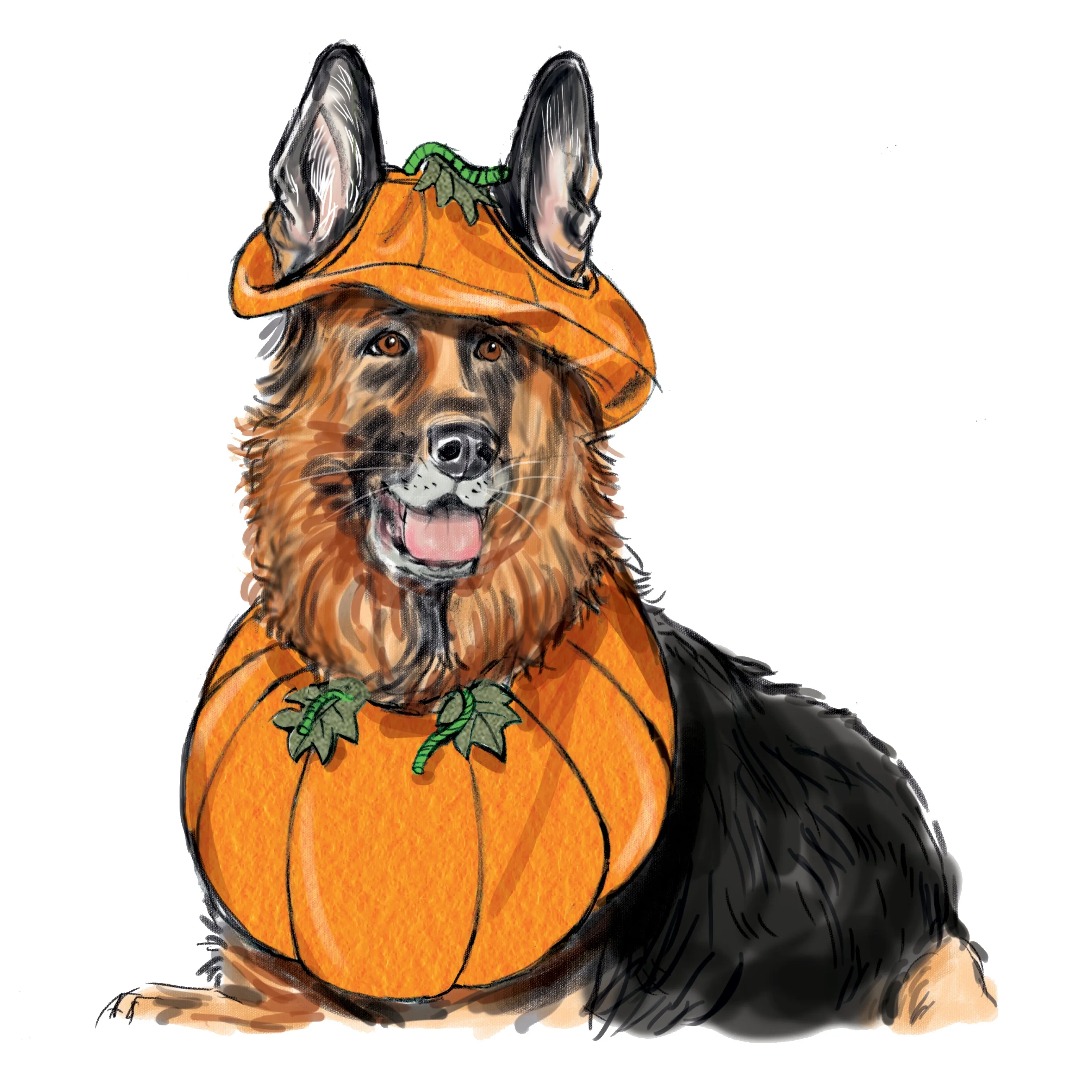 Simplicity Pattern S9497 Pet Accessories